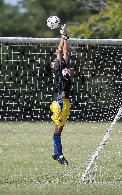 赵心童的特 赵心童的特