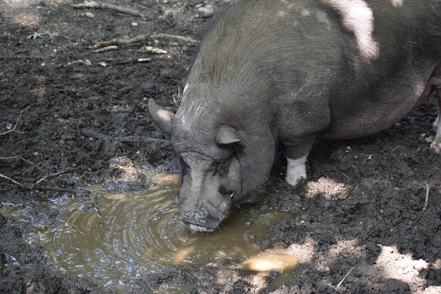 正是这种现 正是这种现